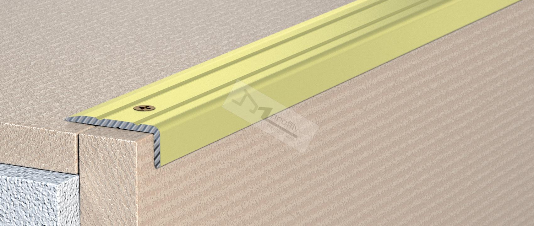 Schodová hrana šroubovací 25x20/2,7m elox přírodní 